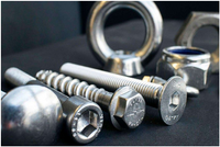 //ikrorwxhpqpqlj5m.ldycdn.com/cloud/llBppKqplnSRilprnrjijq/Titanium-Fasteners.png