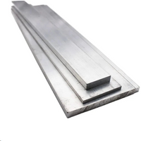 //ikrorwxhpqpqlj5m.ldycdn.com/cloud/lmBppKqplnSRillrlrrkjo/Titanium-Flat-Bar.png