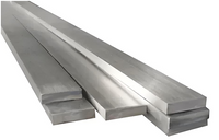 //ikrorwxhpqpqlj5m.ldycdn.com/cloud/lnBppKqplnSRrlrnlmpjjp/Titanium-Flat-Bars.png