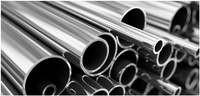 //ikrorwxhpqpqlj5m.ldycdn.com/cloud/loBppKqplnSRpkmjojkrjp/Titanium-Tubes.png