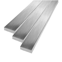 //ikrorwxhpqpqlj5m.ldycdn.com/cloud/lrBppKqplnSRilqrqpnnjm/Titanium-Flat-Bars.png
